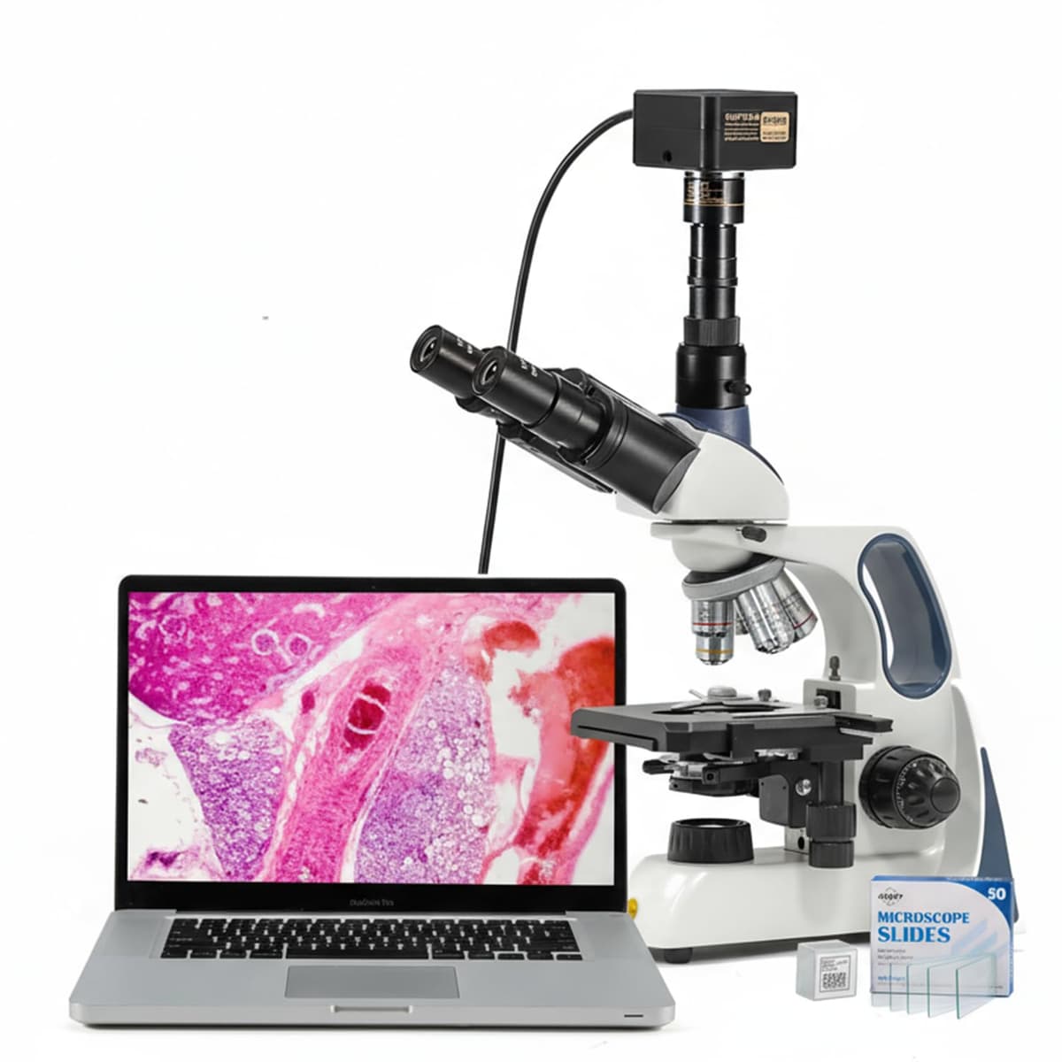 Microscopio Compuesto Trinocular SWIFT SW400 40X-2500X con Swiftcam 20MP SW400INF-T-CL-SC2003R-CK-BSC