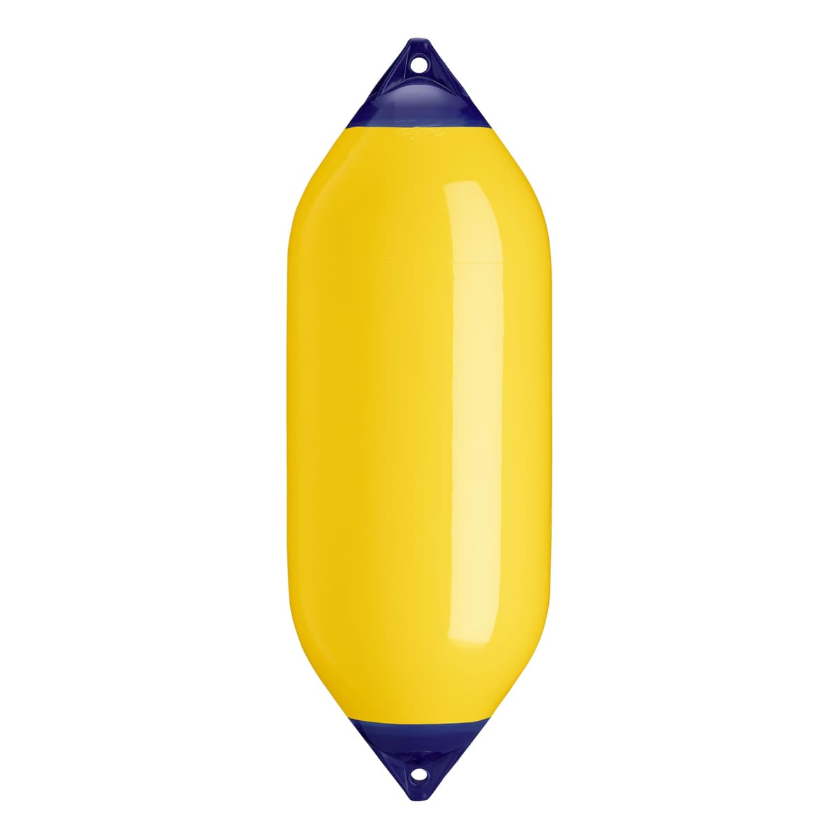 Polyform F-10 F-Series Fender para embarcación - Azul estándar con cuerda (F-10) 48-085-696