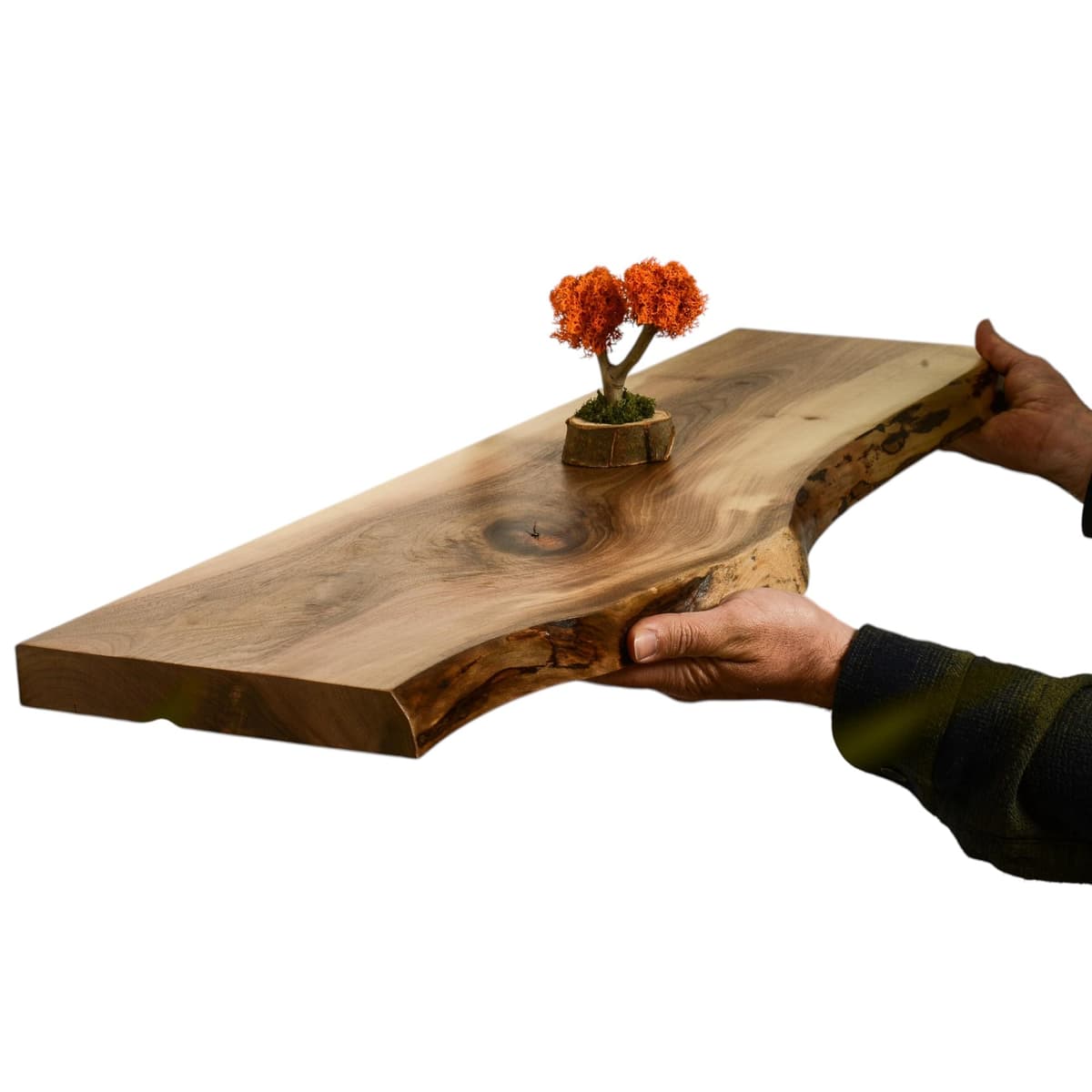 Ahşap Habitat Estante de borde vivo en nogal, repisa flotante rústica 60" x 8"