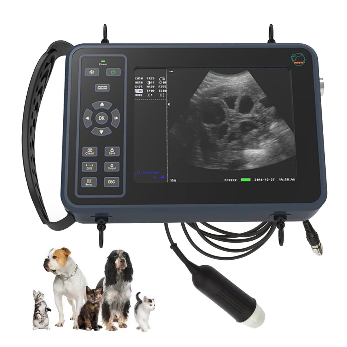 GOYOJO Ultrasound Scanner portátil 12" para animales - Probe mecánico 3.5MHz