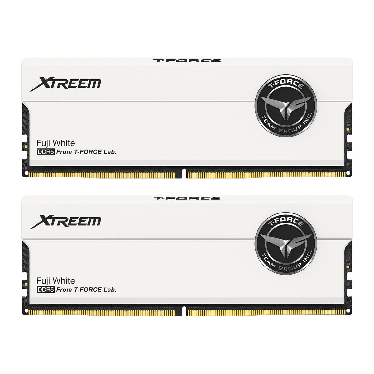 TEAMGROUP T-Force XTREEM DDR5 RAM 32GB (2x16GB) 7600MHz PC5-60800 CL36 A-DIE Módulo de memoria para escritorio compatible con Intel XMP 3.0 y AMD EXPO Blanco FFWD532G7600HC36FDC01 e349ba7b-b712-4186-af33-6f6e769b4c05