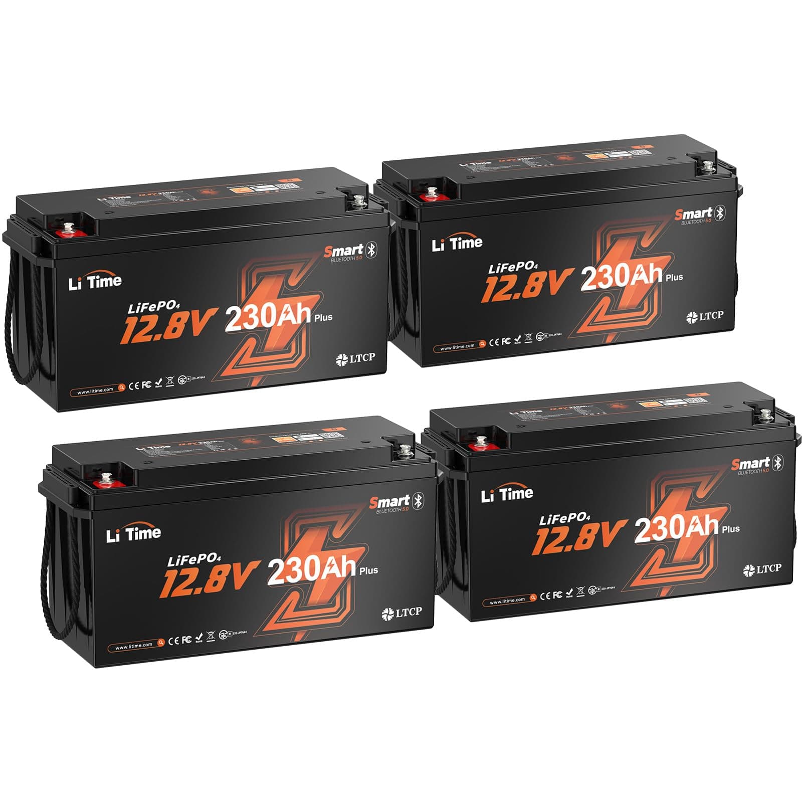 Litime A 230Ah RV Battery 4