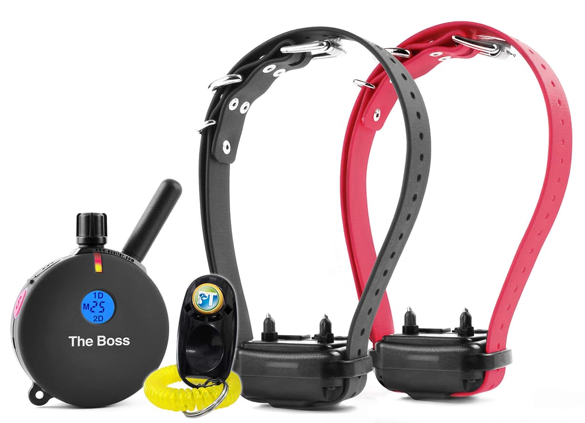Educator E-Collar ET-802 Entrenador Remoto Recargable 14861202