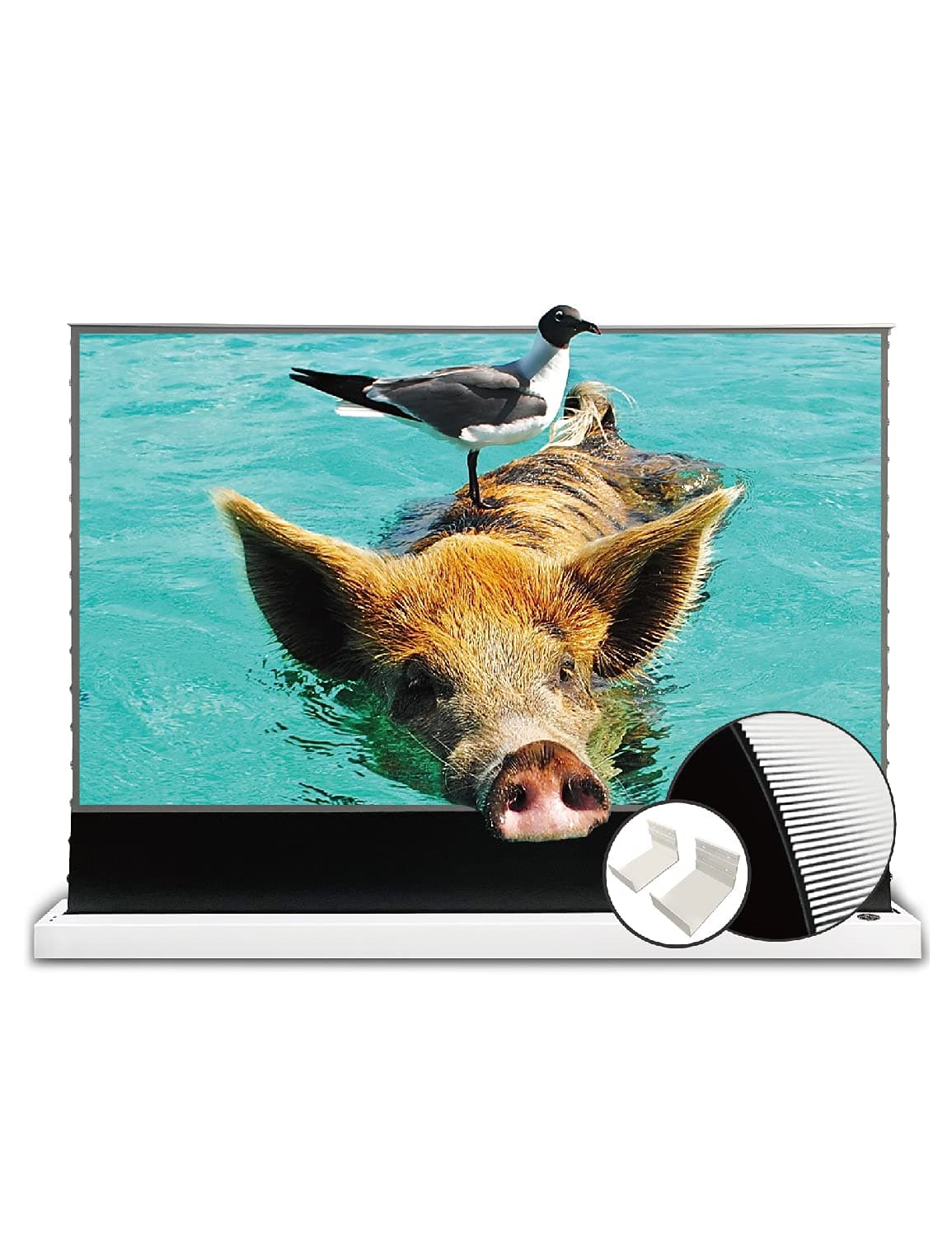 VIVID STORM SINCE 2004 VIVIDSTORM S PRO 100" UST ALR pantalla motorizada enrollable con tensión para TV láser da-hanl-kag472