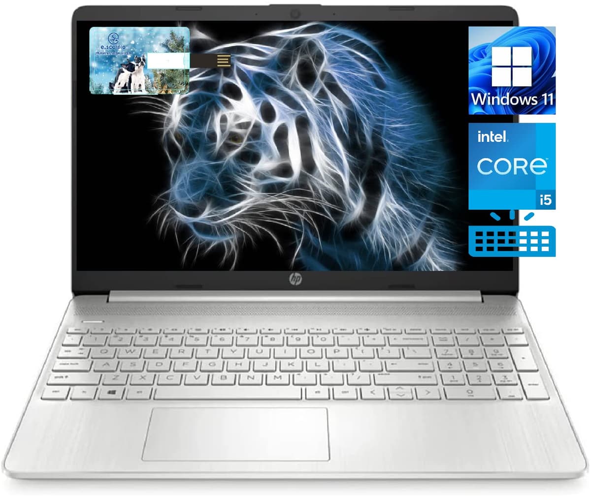 HP Pavilion 17.3" - Intel i5-1135G7, 32GB RAM, 1TB SSD, Windows 11 Pro