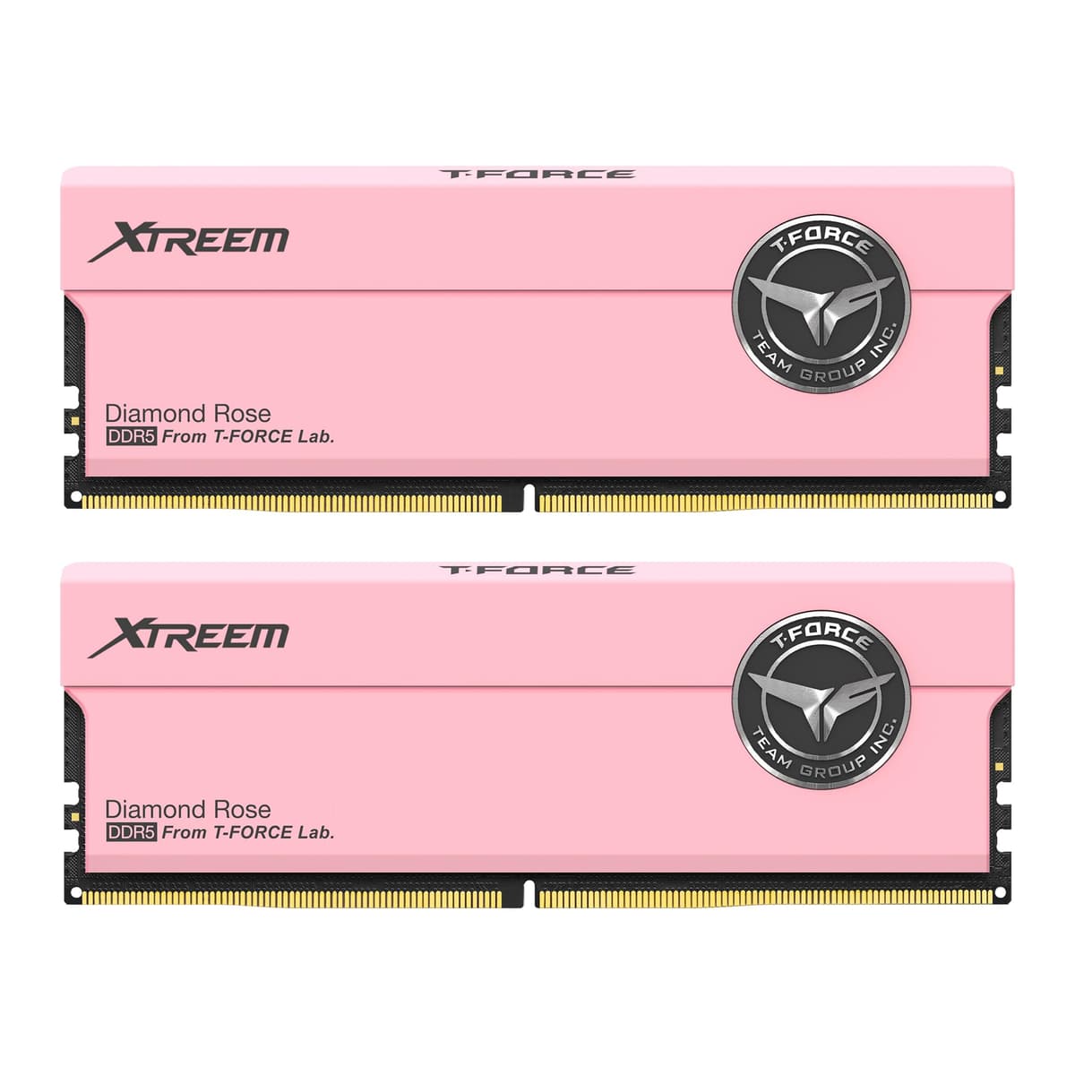 TEAMGROUP T-Force XTREEM RAM DDR5 32GB (2x16GB) 7600MHz PC5-60800 CL36 A-DIE Módulo de Memoria para Desktop Compatible con Intel XMP 3.0 y AMD EXPO Rosa FFPD532G7600HC36FDC01