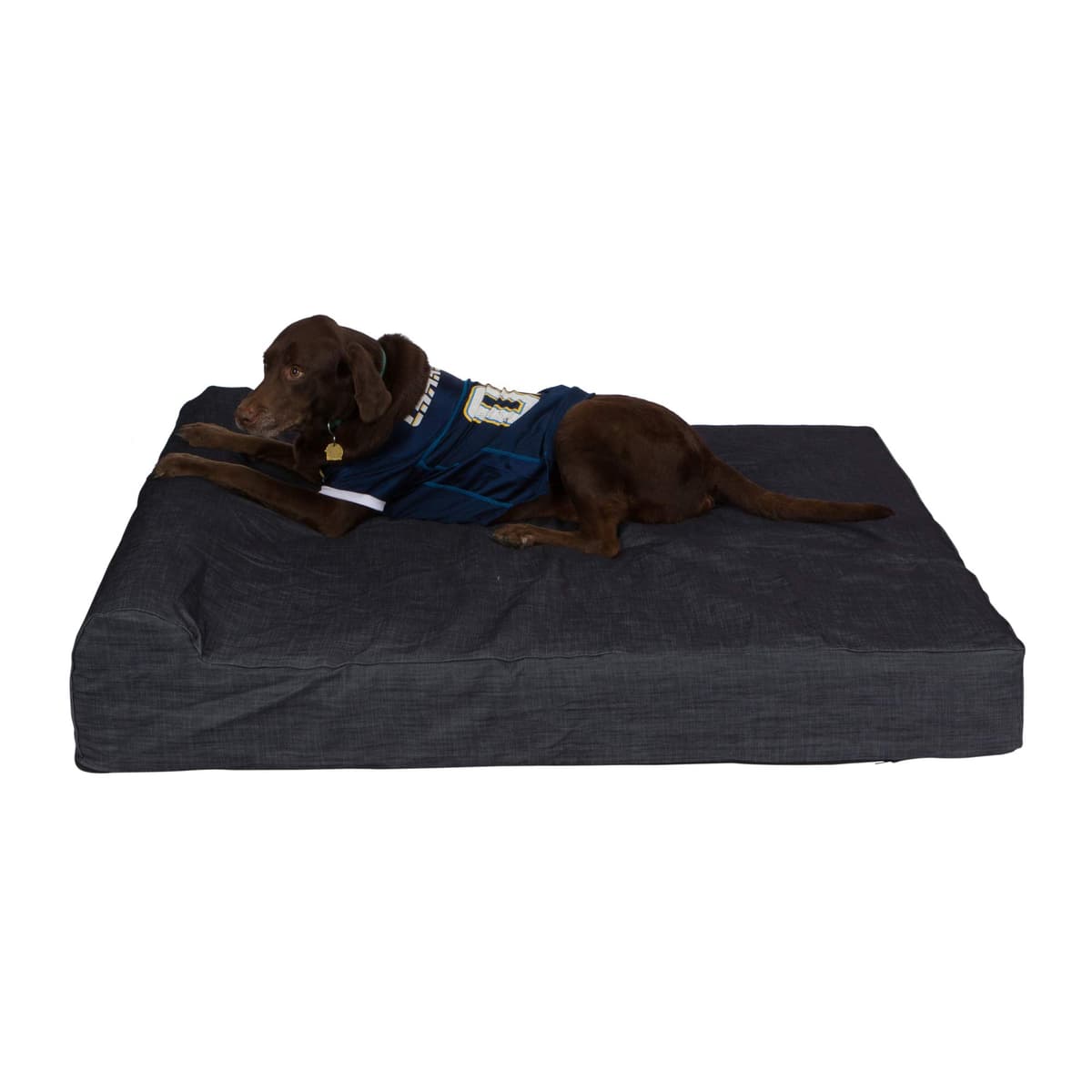 Back Support Systems Cama Ortopédica de Lujo XXXL de 7 Pulgadas con Espuma de Memoria de Gel y Respaldo | 100% Fabricada en EE. UU. con Espumas No Tóxicas Certi-Pur | Diseñada para Perros de Raza Grande que Proporcionan Soporte y Comodidad