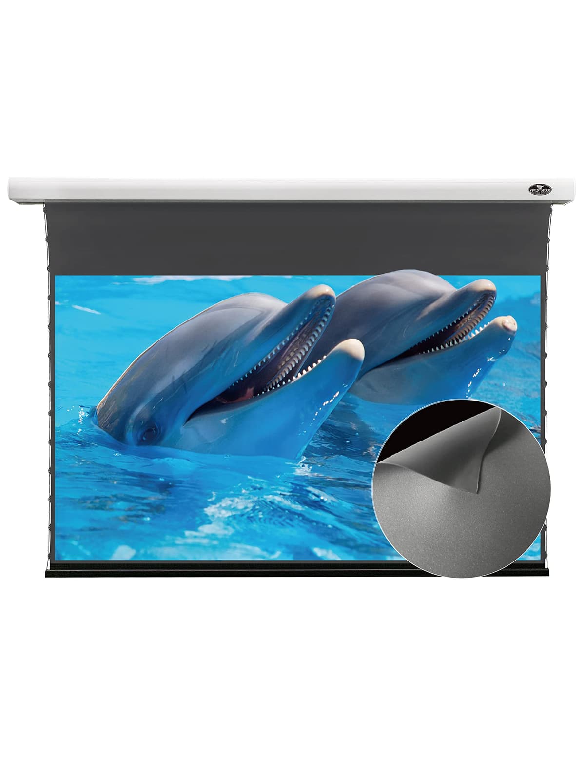 VIVID STORM SINCE 2004 VIVIDSTORM Pantalla motorizada ALR Obsidian 100" para proyector normal