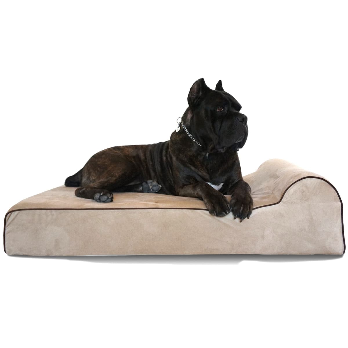 Cama Ortopédica de Espuma Viscoelástica Bully Beds para Perros - para Perros Mayores, Ancianos y Artríticos con Problemas Articulares y Musculares - Camas Impermeables para Perros Grandes - XXL, 60 x 48 x 7 Pulgadas - Beige BBTN-05