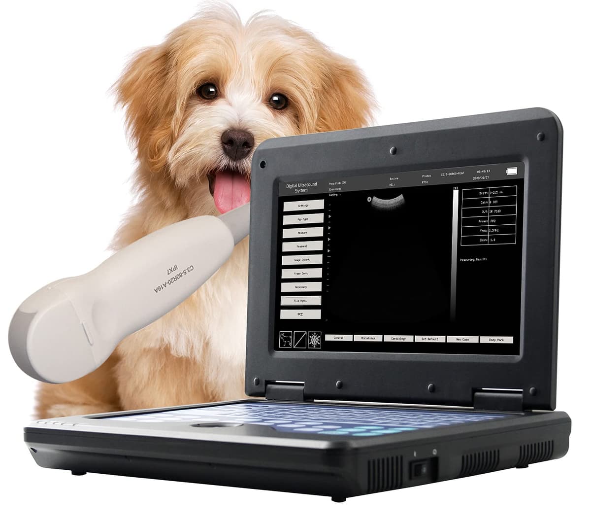 CONTEC CMS600P2VET Ecógrafo Veterinario Portátil con Sonda Micro Convexa 3.5 MHz