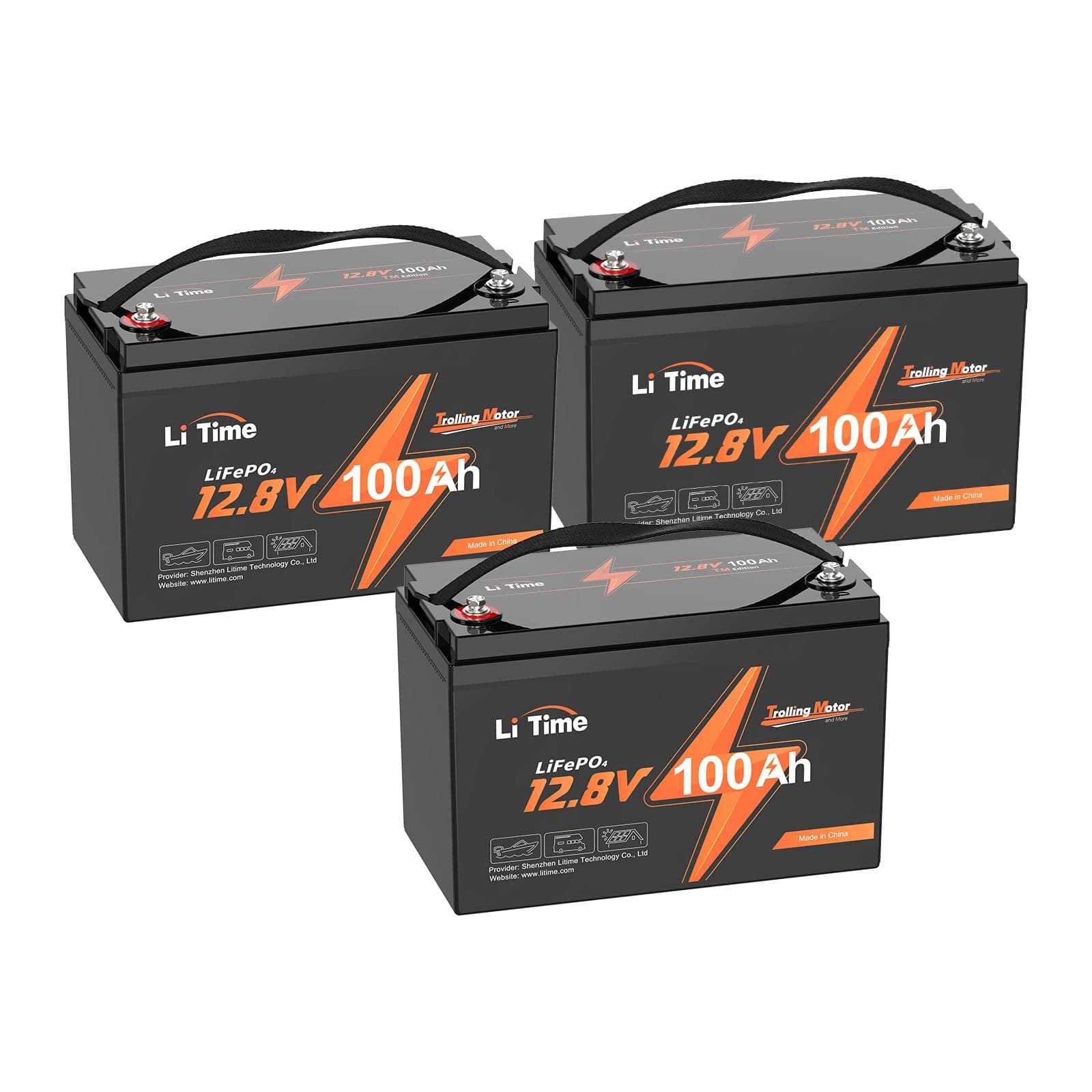 Litime A L12V100-100-TM-4-A100-02