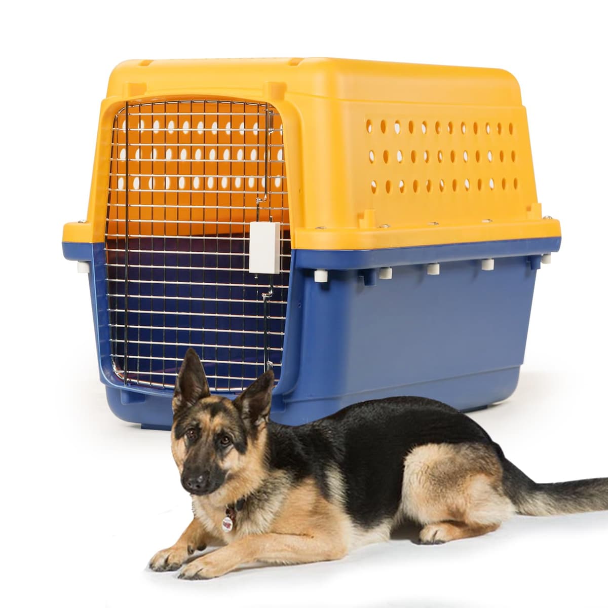 Pet-Express Jaula para Mascotas - Aprobada por Aerolíneas 601954872042