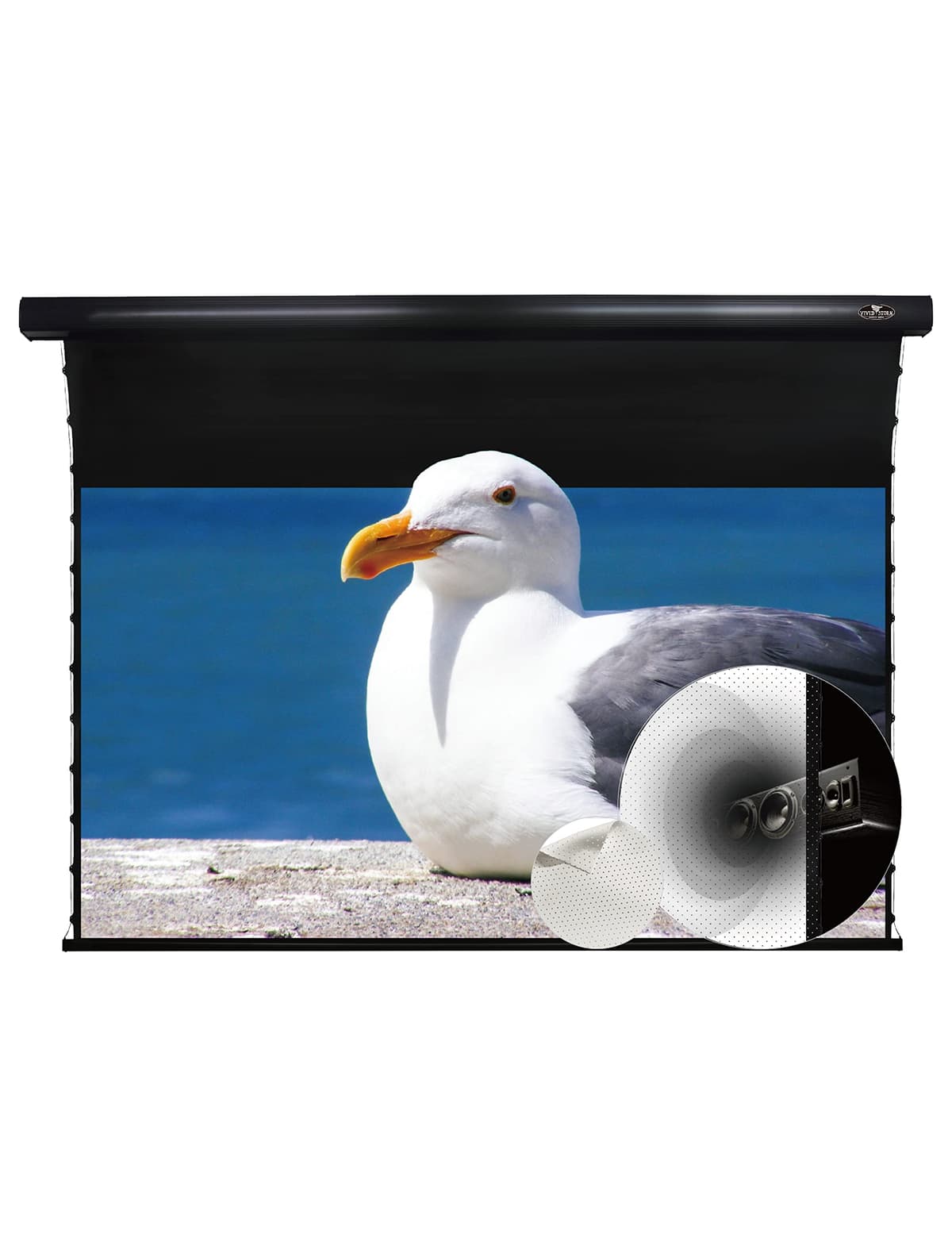 VIVID STORM SINCE 2004 VIVIDSTORM Pantalla motorizada acústicamente transparente 92" 16:9 para proyector normal VBMSLPW92H