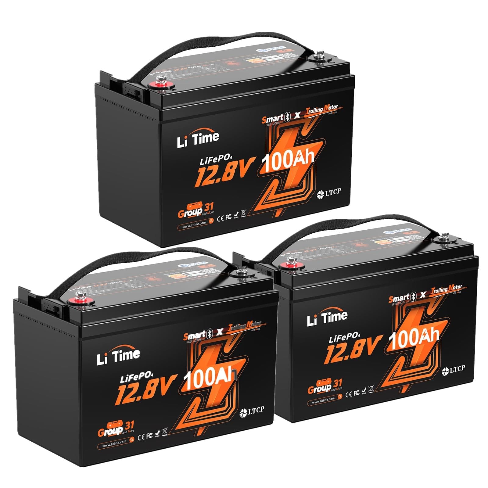 Litime A L12V100-100-TM-BT-4-A100 3 Pack