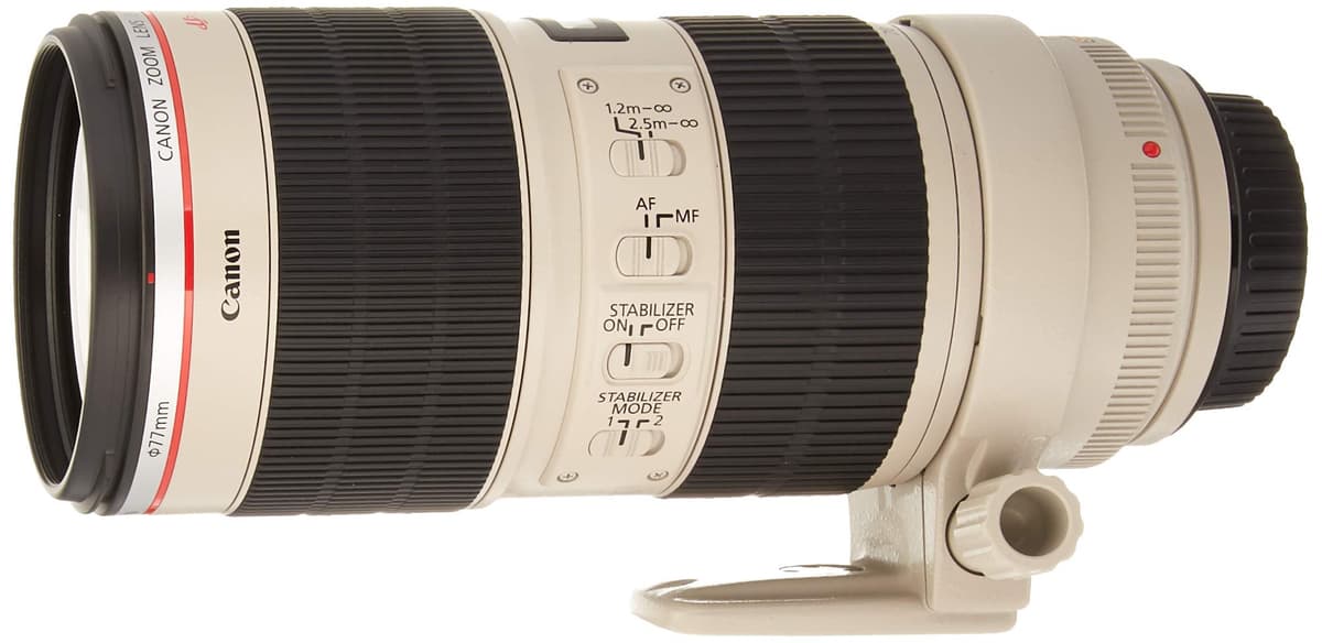 Canon EF 70-200mm f/2.8L IS II USM Telefoto Zoom (Renewed) 2751B002