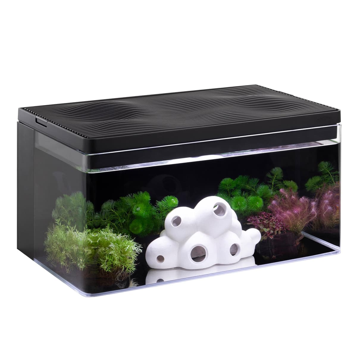 Harmony Aquarium Tank Deluxe by Clairnara - Acuario de Agua Dulce de 8 Galones L-HBB