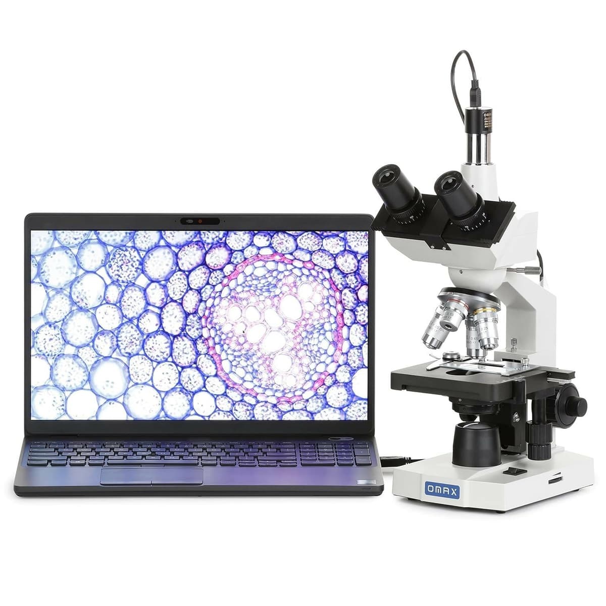 OMAX - Microscopio Compuesto Trinocular de Laboratorio LED 40X-2500X con Cámara USB y Platina Mecánica - M83EZ-C03S