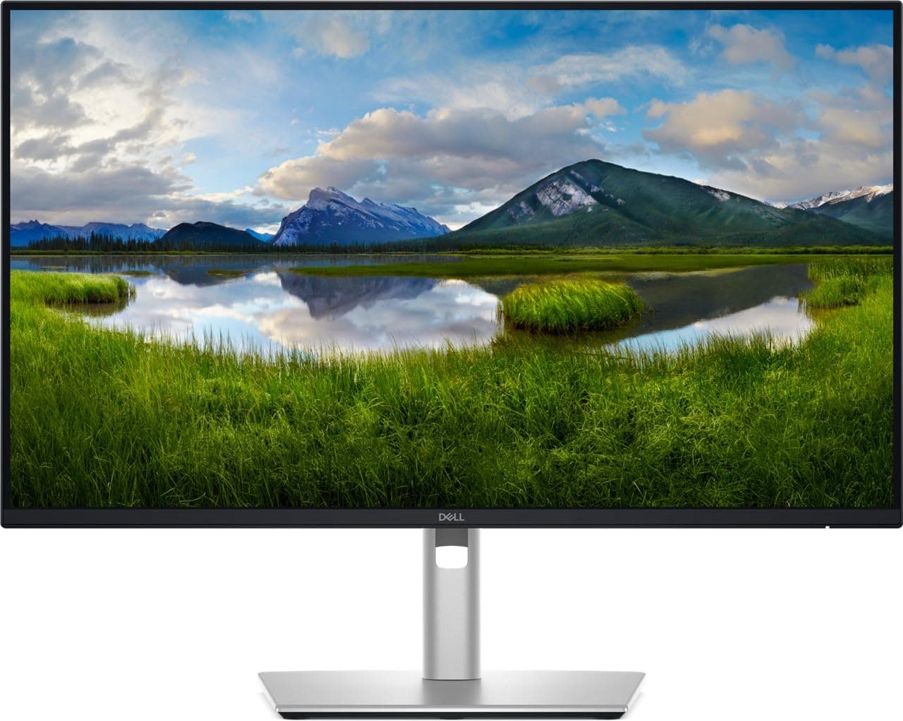Monitor Dell Pro 24 Plus QHD USB-C Hub P2425DE - 24" (61 cm)