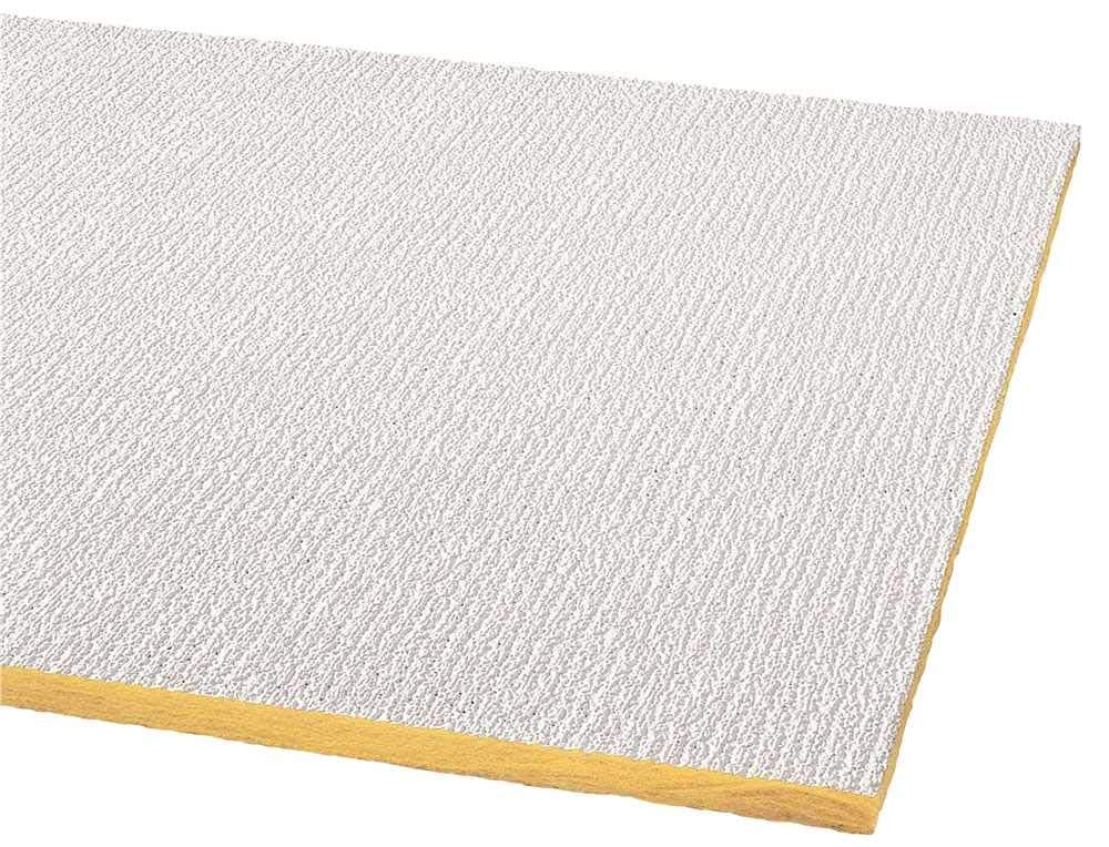Armstrong BPGR2907 Panel Acústico Techo 24" x 48" x 5/8" (Shasta)