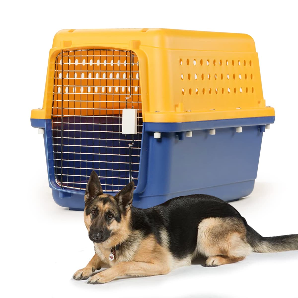 Pet-Express Jaula para Mascotas - Aprobada por Aerolíneas 860001648737