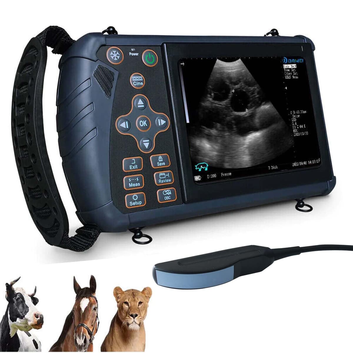 DAWEIanimed DAWEI Portátil - Ecógrafo Veterinario con Sonda Convexa Rectal 3.5MHz para Ganado NEWS1RCP
