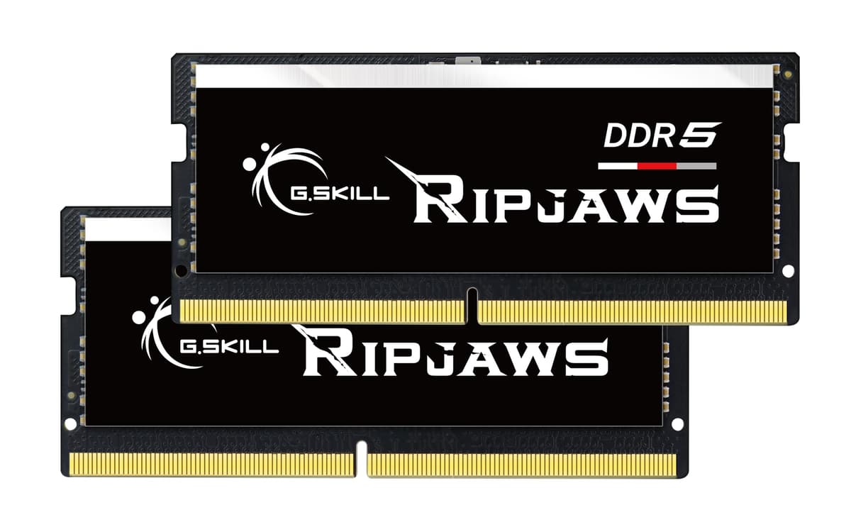 G.SKILL Ripjaws DDR5 SO-DIMM 64GB (2x32GB) 5600MT/s CL40 F5-5600S4040A32GX2-RS