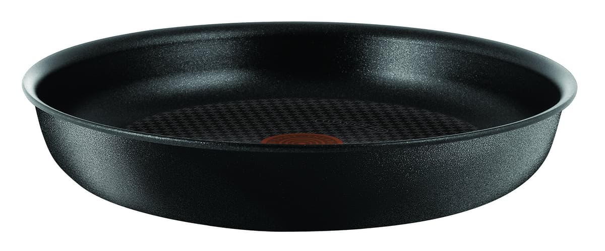 T-fal Tefal Ingenio Sartén Antiadherente Induction Expertise 28 cm, Negra L6500602