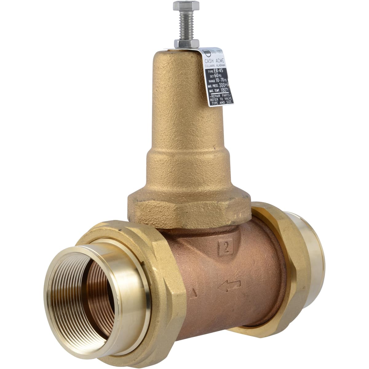 Cash Acme EB45 Regulador de Presión PVA54M-DUTH-60 - Unión Doble 2" NPT Fem, 60 PSI