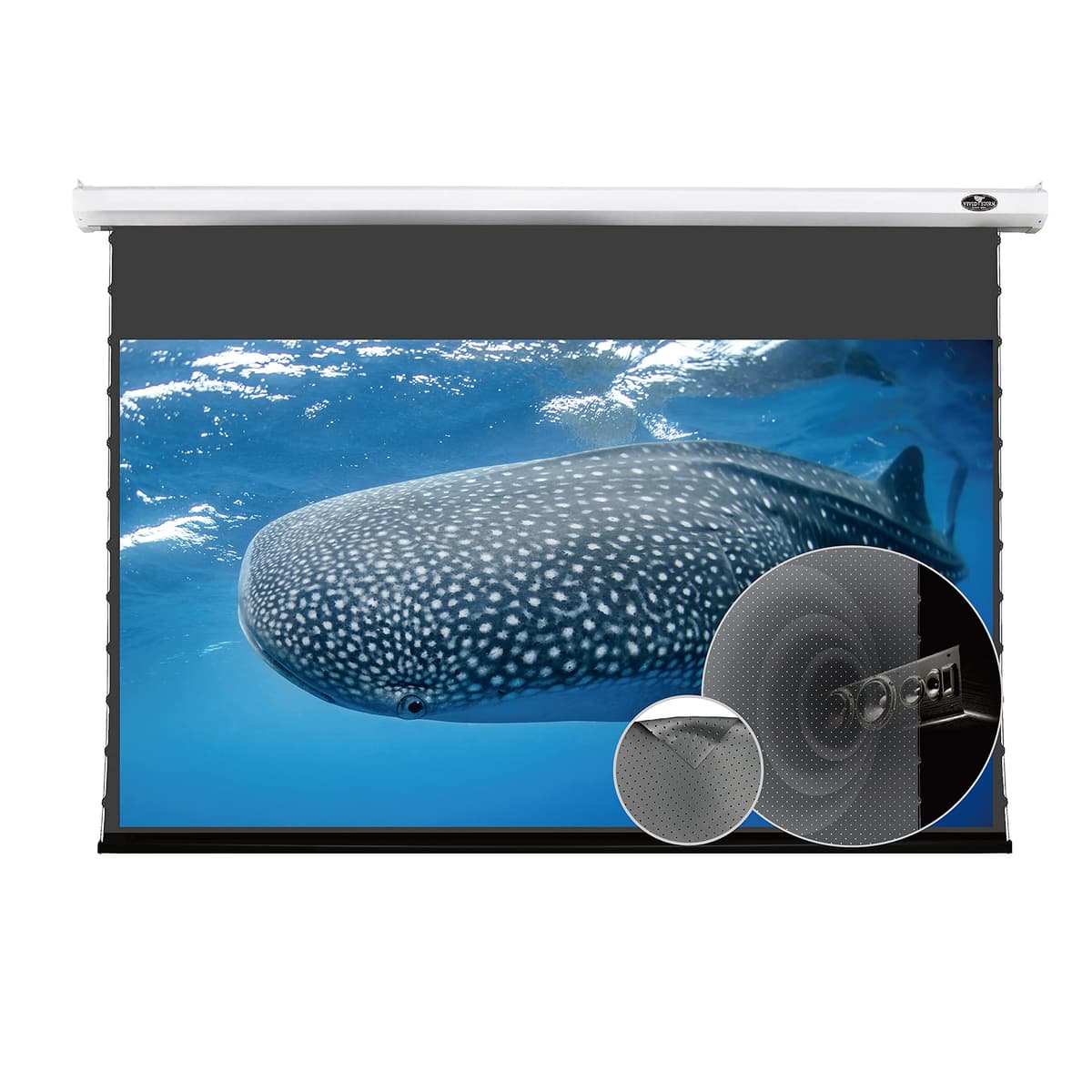 VIVID STORM SINCE 2004 VIVIDSTORM V6JLPALR92H Pantalla Motoriza Tab-tension 92'' ALR Acústicamente Transparente