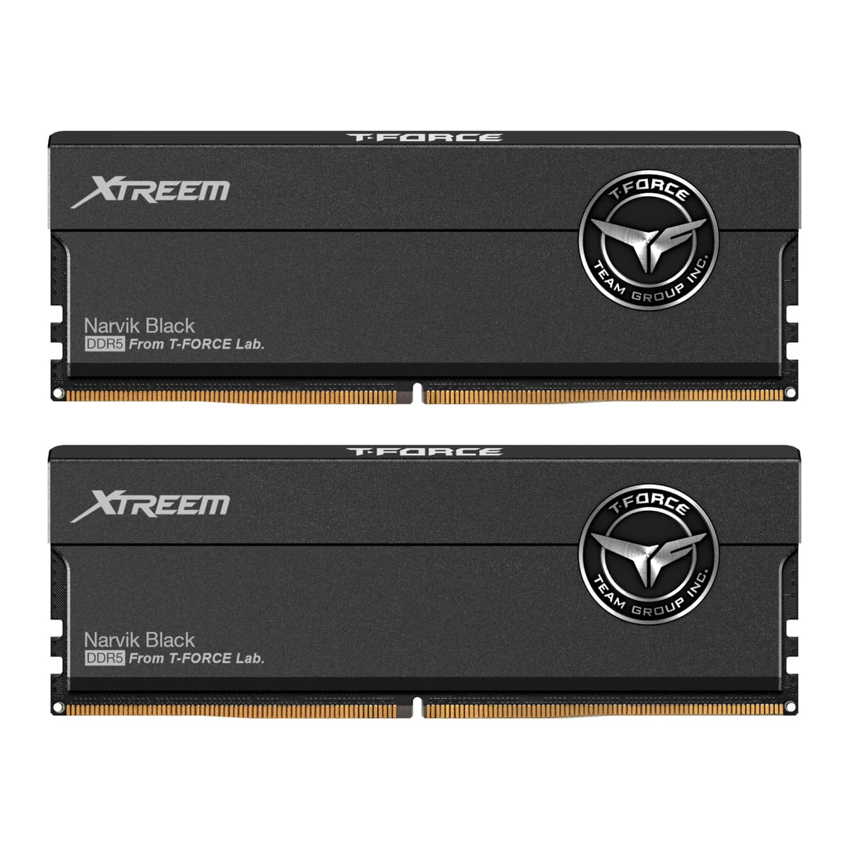 TEAMGROUP T-Force XTREEM DDR5 RAM 32GB (2x16GB) 7600MHz PC5-60800 CL36 A-DIE Memoria para Escritorio Compatible con Intel XMP 3.0 y AMD EXPO Negra FFXD532G7600HC36FDC01