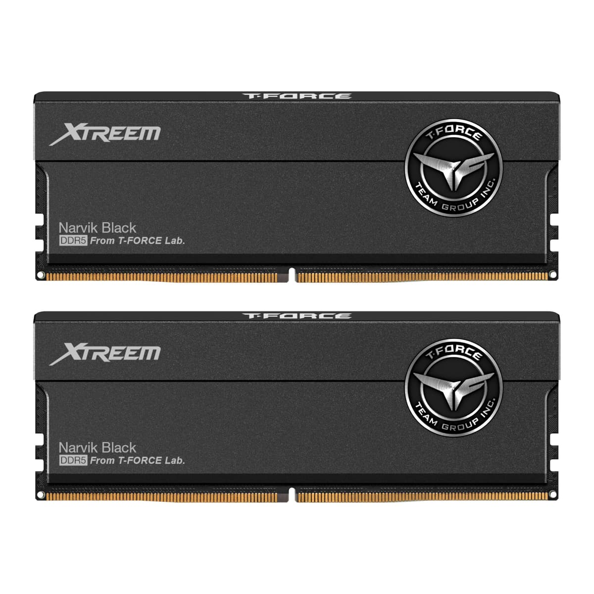 TEAMGROUP T-Force XTREEM DDR5 RAM 32GB (2x16GB) 6400MHz PC5 51200 CL32 Módulo de memoria para escritorio A-DIE Compatible con Intel XMP 3.0 y AMD EXPO Negro FFXD532G6400HC32ADC01 d4cdbf50-d6cc-4ce1-94a0-eb6b5fddcdd1